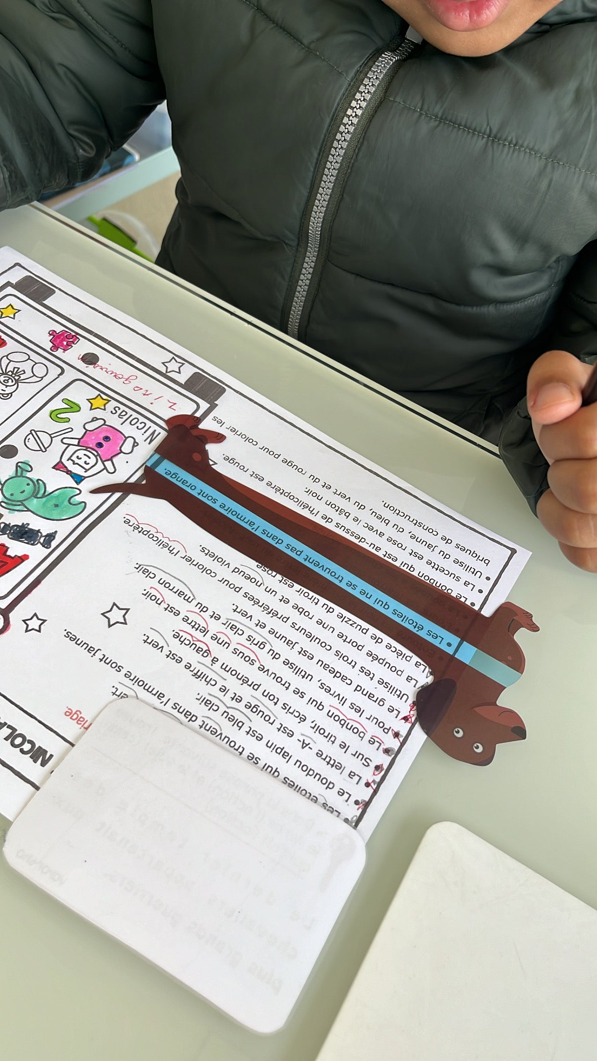 BANDES DE LECTURE -ANIMAUX-