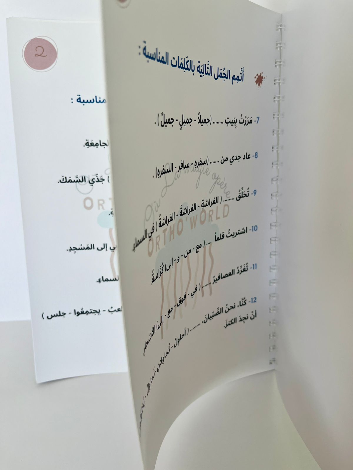 LES AVENTURES DES MOTS PERDUS - ARABE